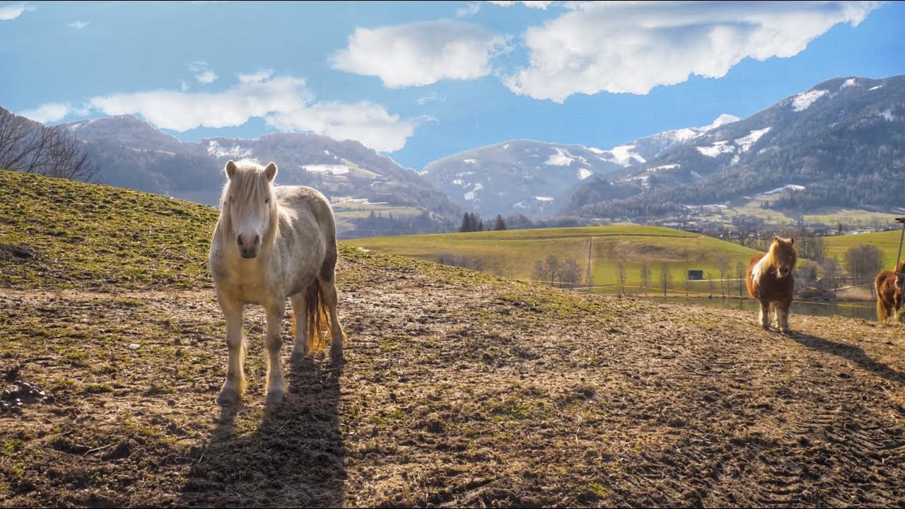 Aigen im Ennstal | AUSTRIA