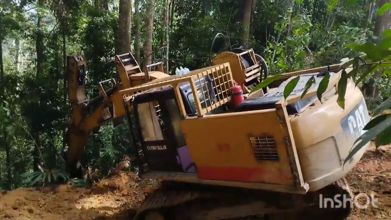 alat berat tarik kayu balak dalam hutan
