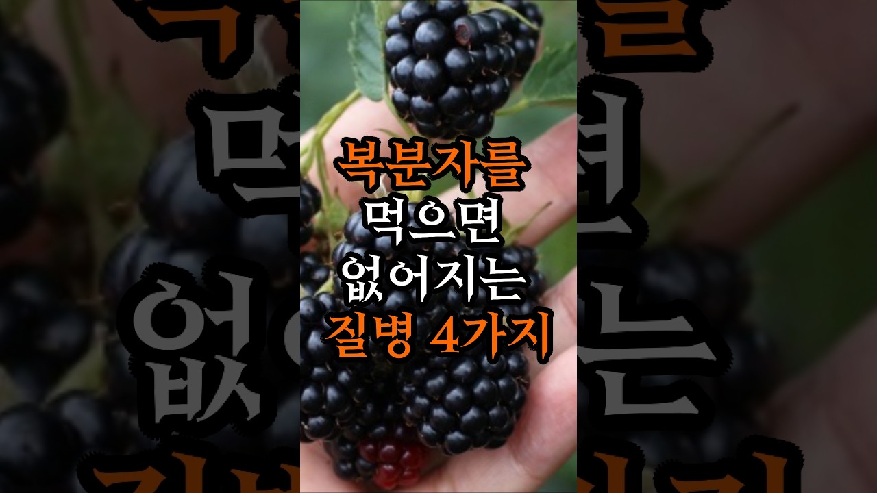복분자를 먹으면 없어지는 질병 4가지