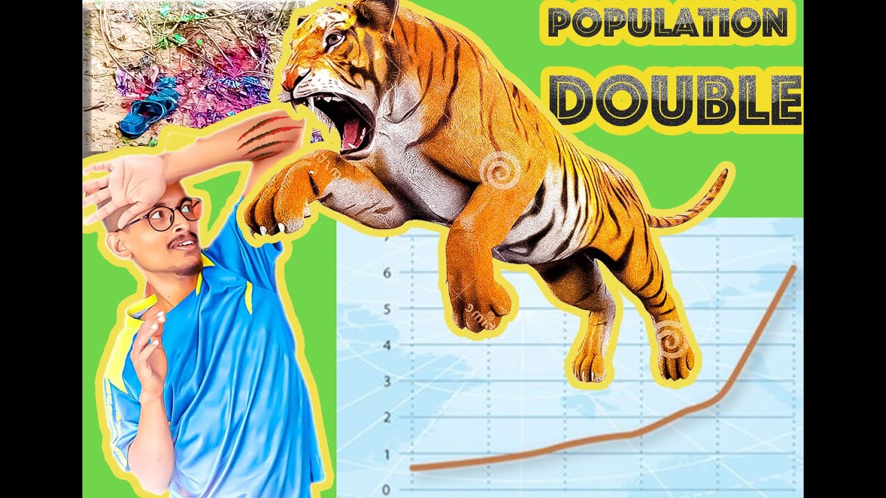 How Tigers population Doubled in Nepal?