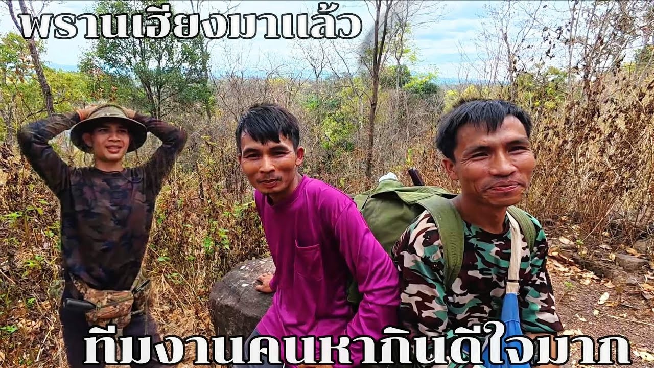#พรานเฮียงกับมาเเล้วทีมงานคนหากินดีใจมาก#ขึ้นพูเขาวันนี้