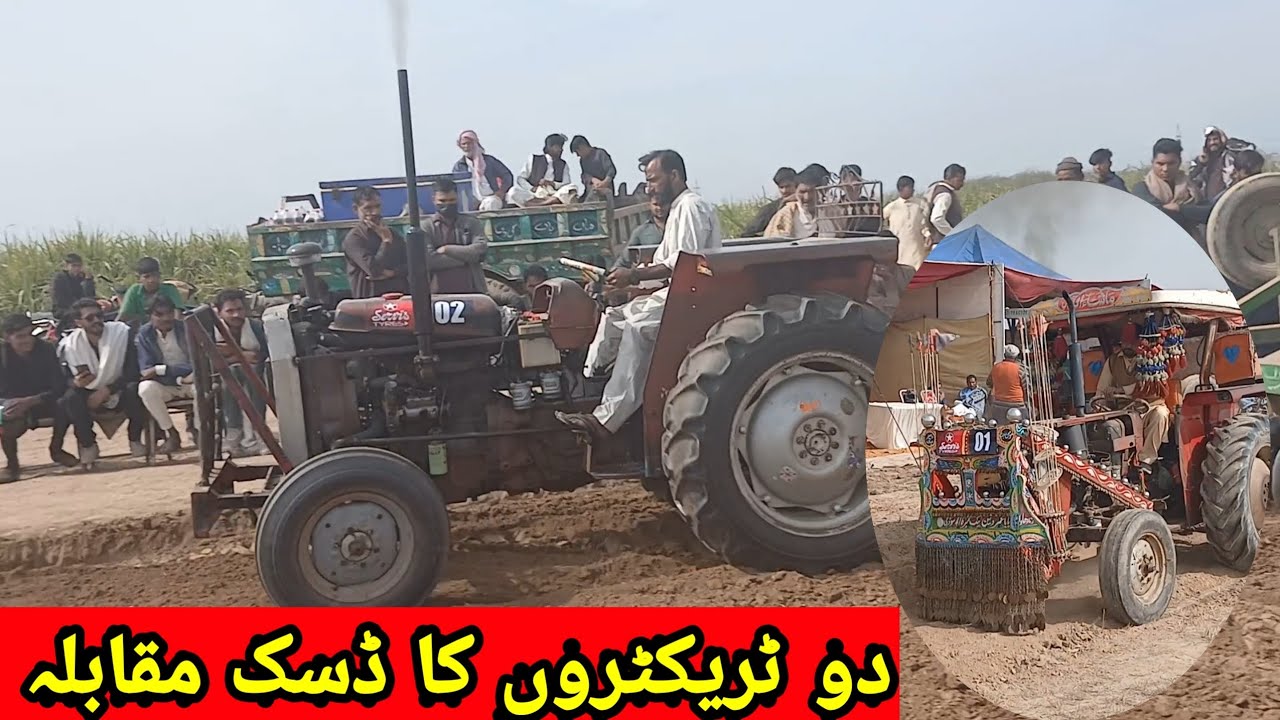 Massey Ferguson 240 Tractor Ka Zabardast Disc Muqabala | Khet Mein Asli Taqat Ka Imtihan#tractor 