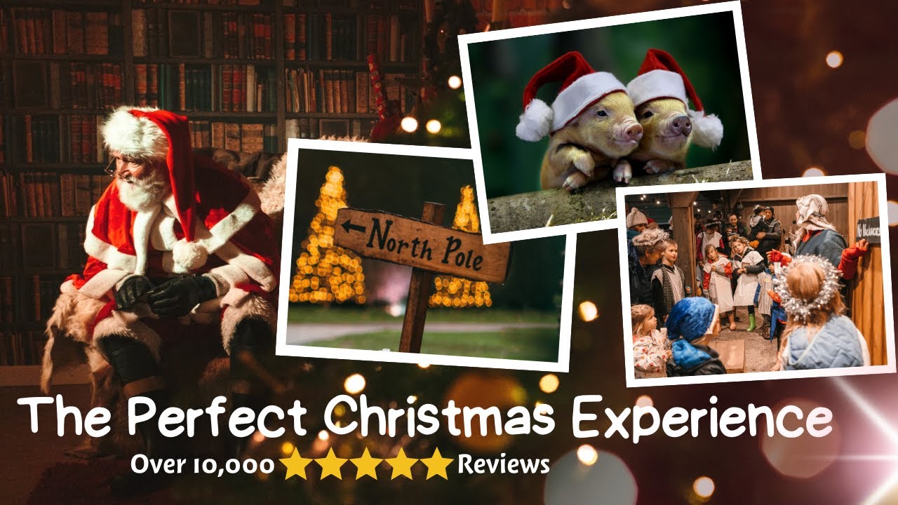 Unforgettable Christmas Experience At Pennywell Farm 2024: A Magical Journey Through Time!