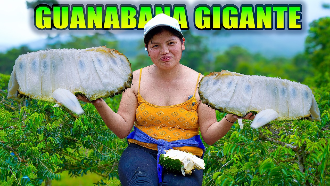 Secretos de una plantación de Guanábana que no conocías NATHALIA