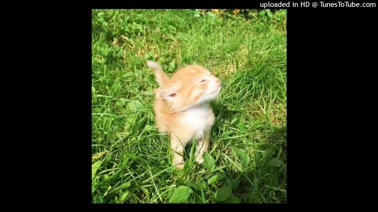 aweeyy - Виноват Один (official audio)