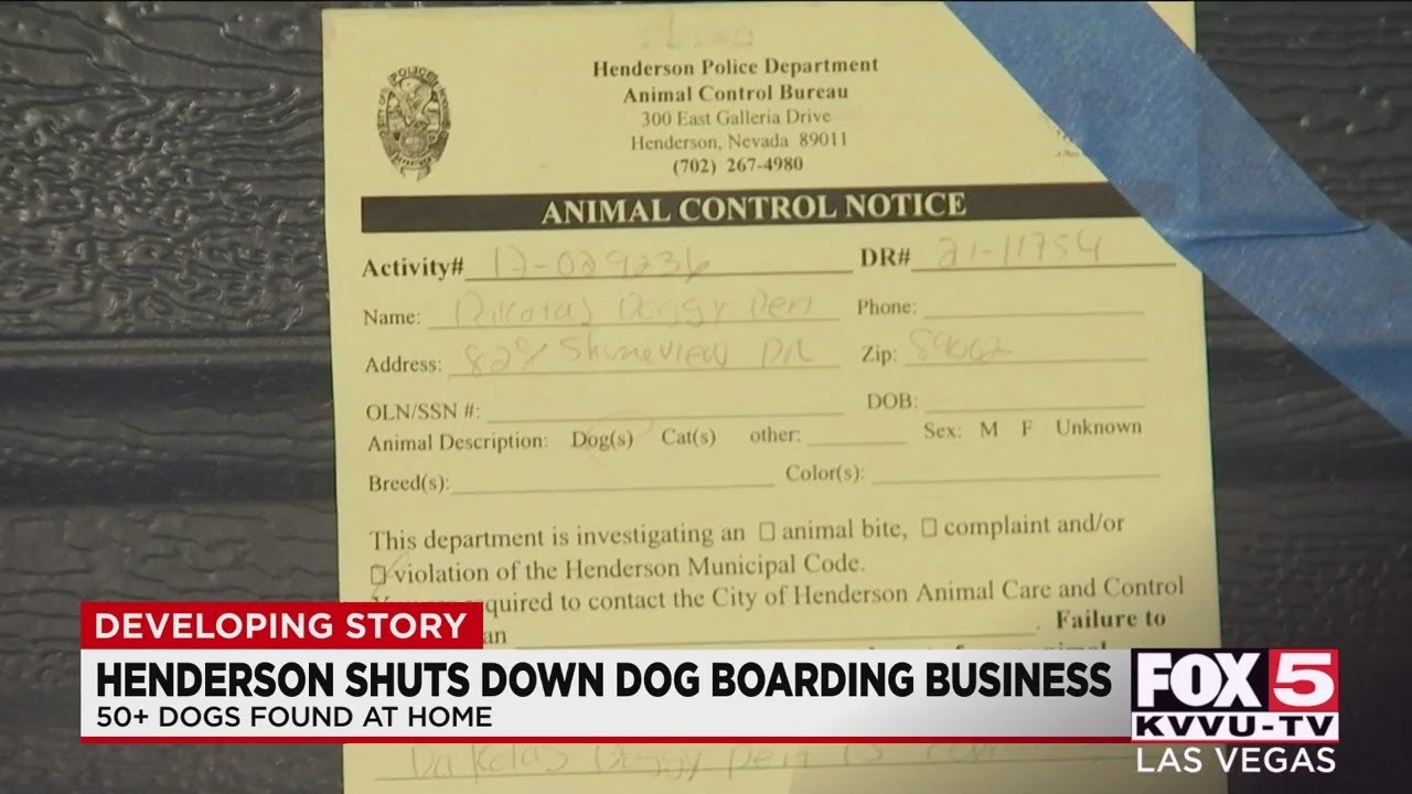 Henderson animal control shuts down dog boarding business run out of home