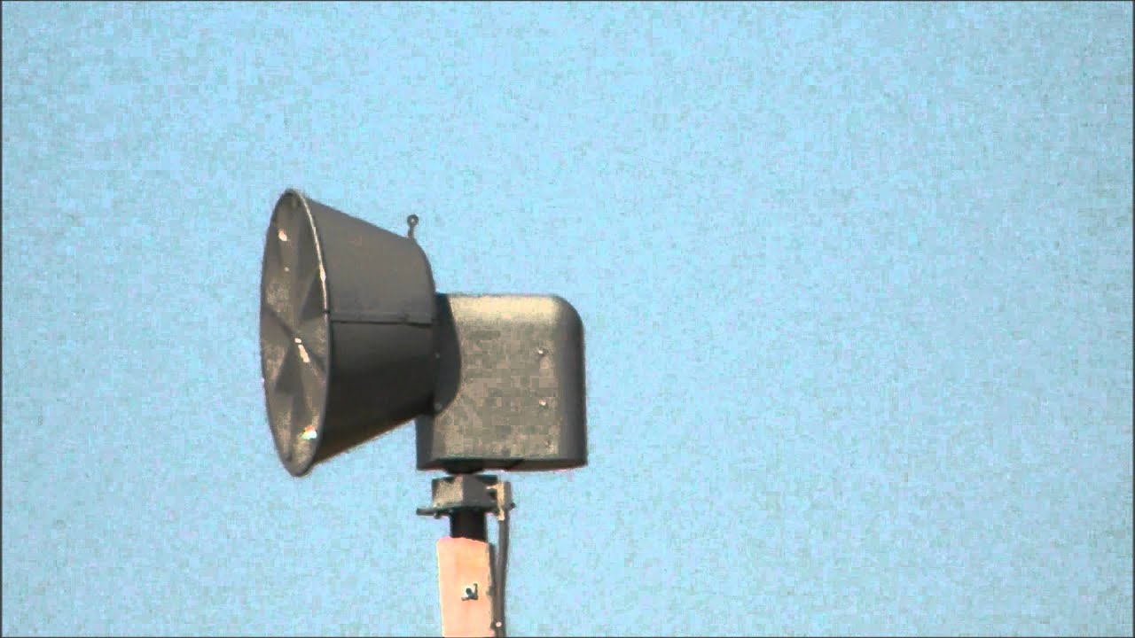 2012-04-03 Hawk Gets Surprised On A Tornado Siren The Monthly Test