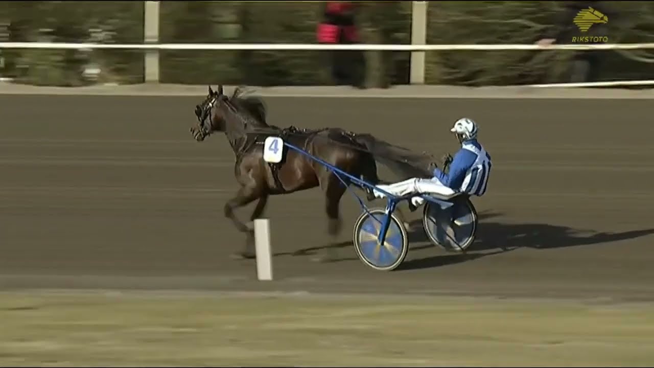 STOLETHESHOW - FINLANDIA AJO 2023