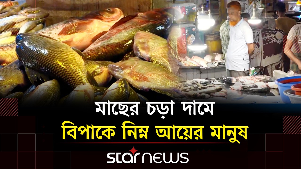 মাছ বাজারে আগুন; নাগালের বাইরে সব ধরনের মাছের দাম | Fish Market | Star News