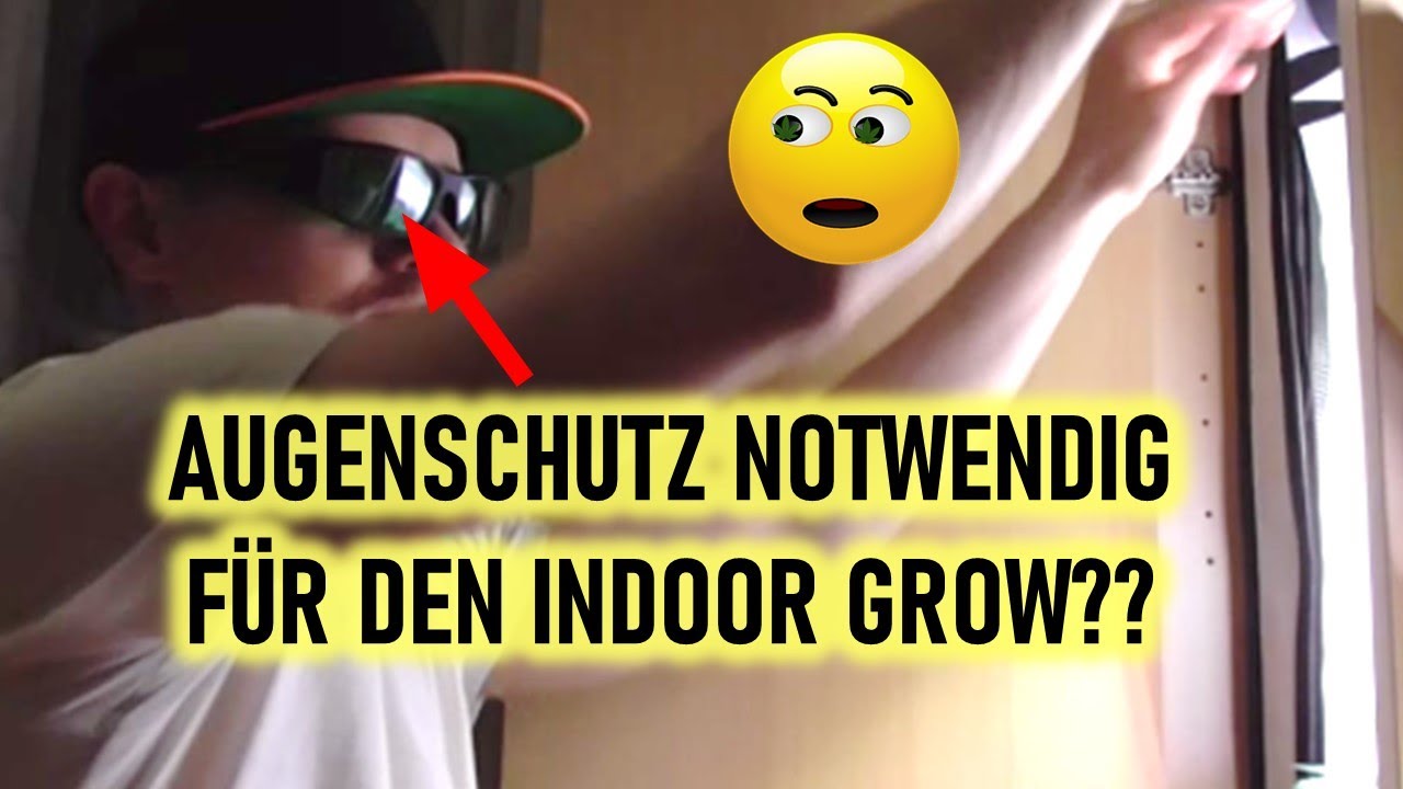 Schutzbrille gegen LED Grow Licht 🥦 &ndash; So ist die Lage