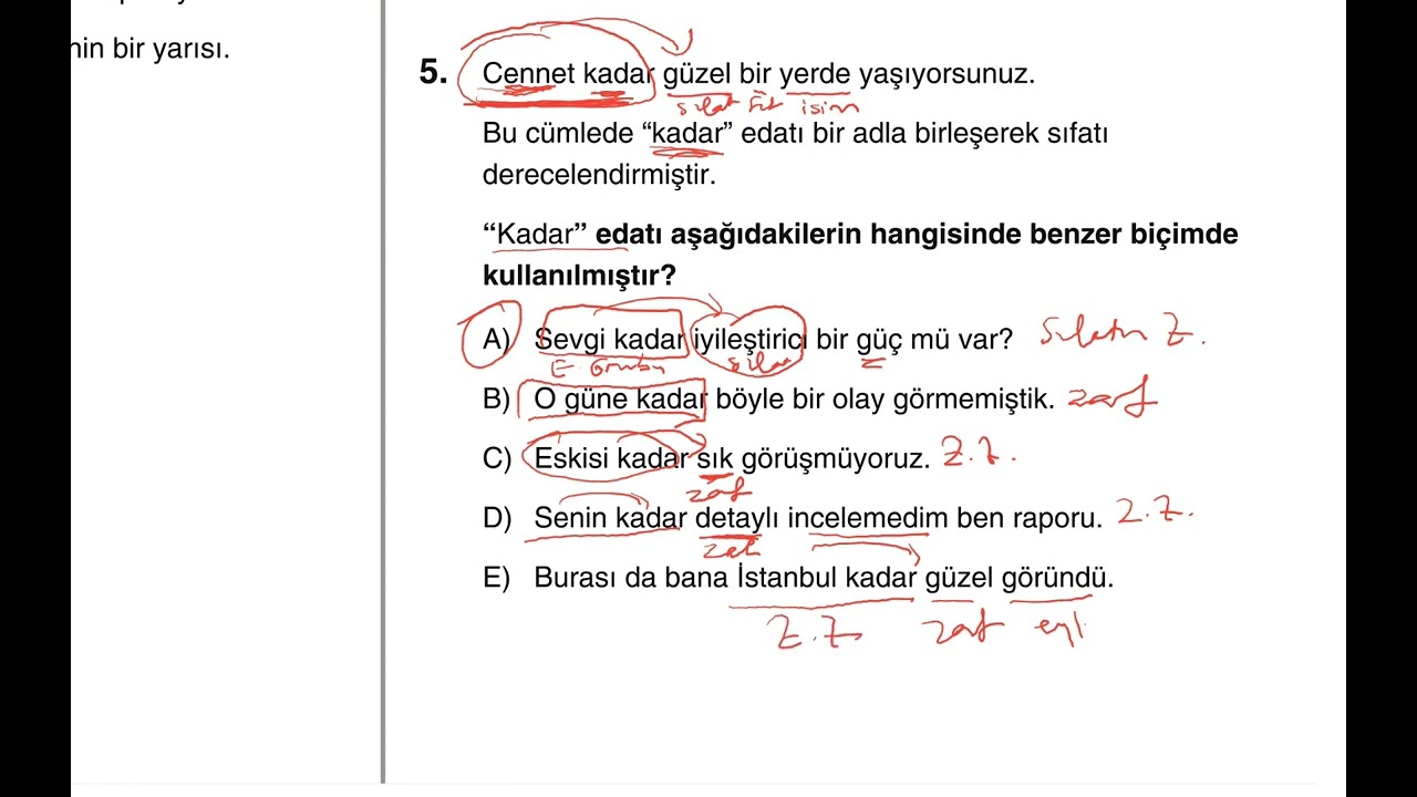 Dil Bilgisi Denemeleri, Deneme 54, Genel
