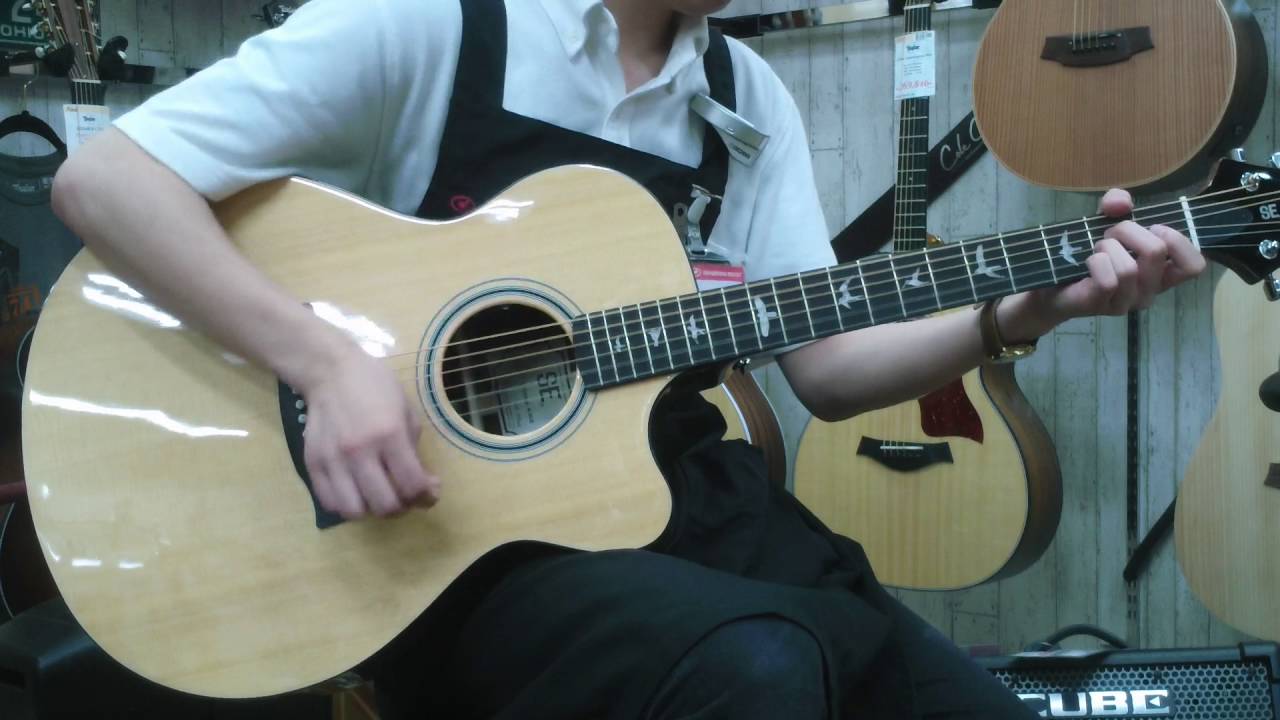Paul Reed Smith (PRS) / SE A30E Natural 【E05924】【イシバシ楽器新宿店】