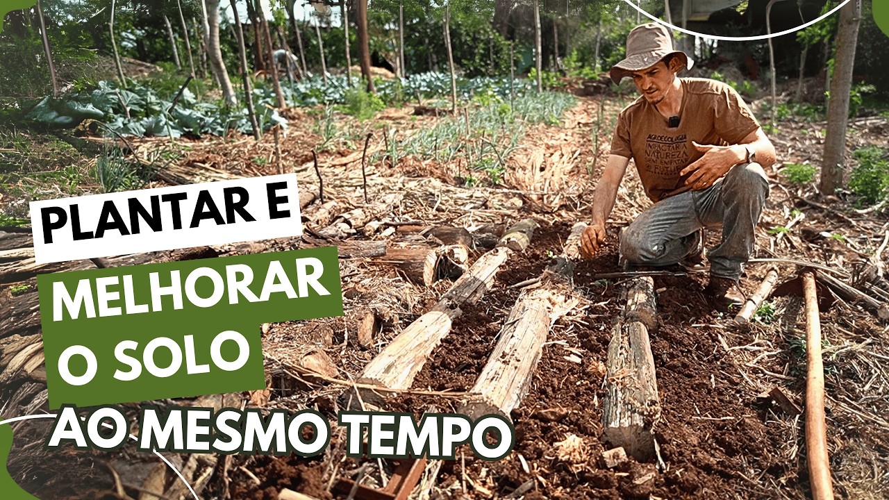 Como fazer CANTEIRO PERMANENTE com troncos