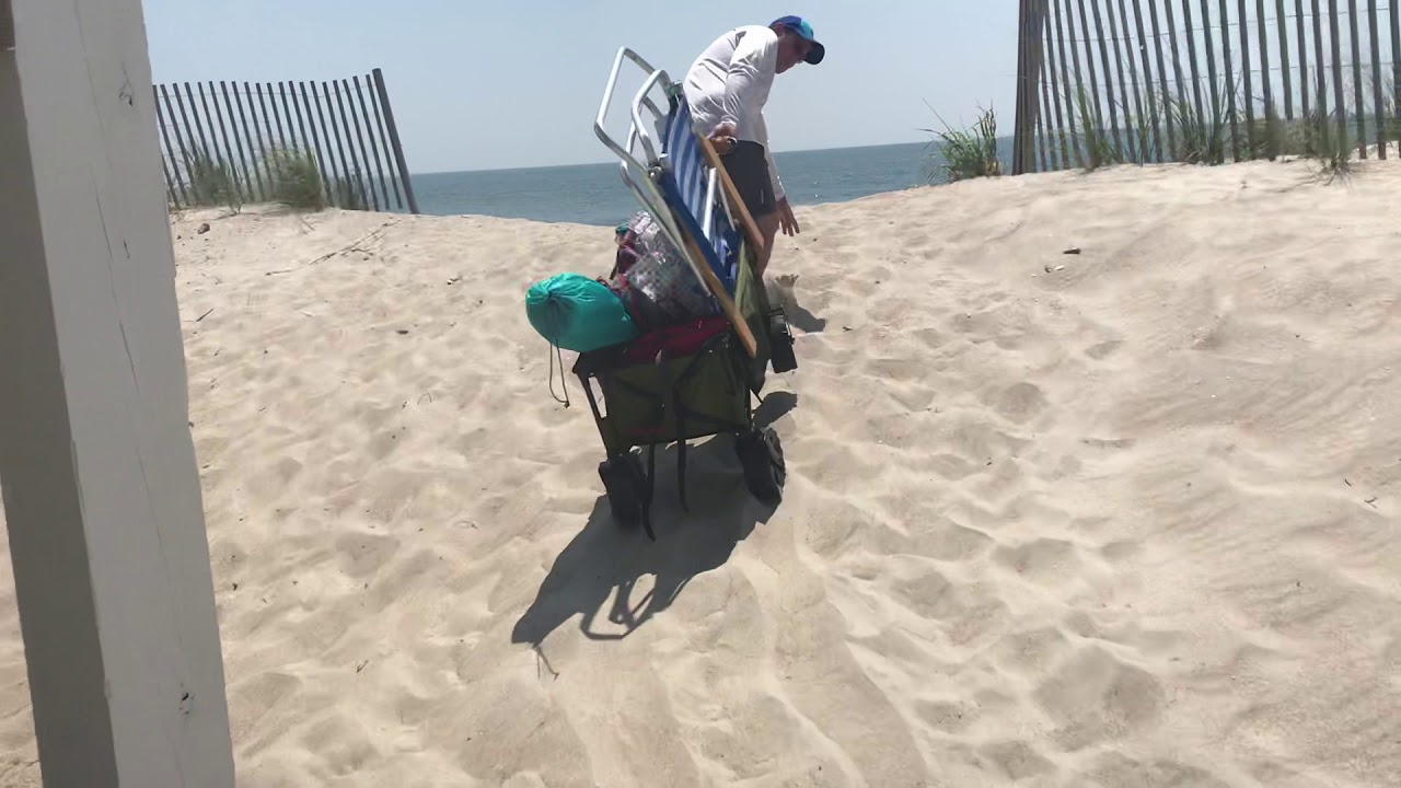 Timber Ridge Folding Beach Wagon