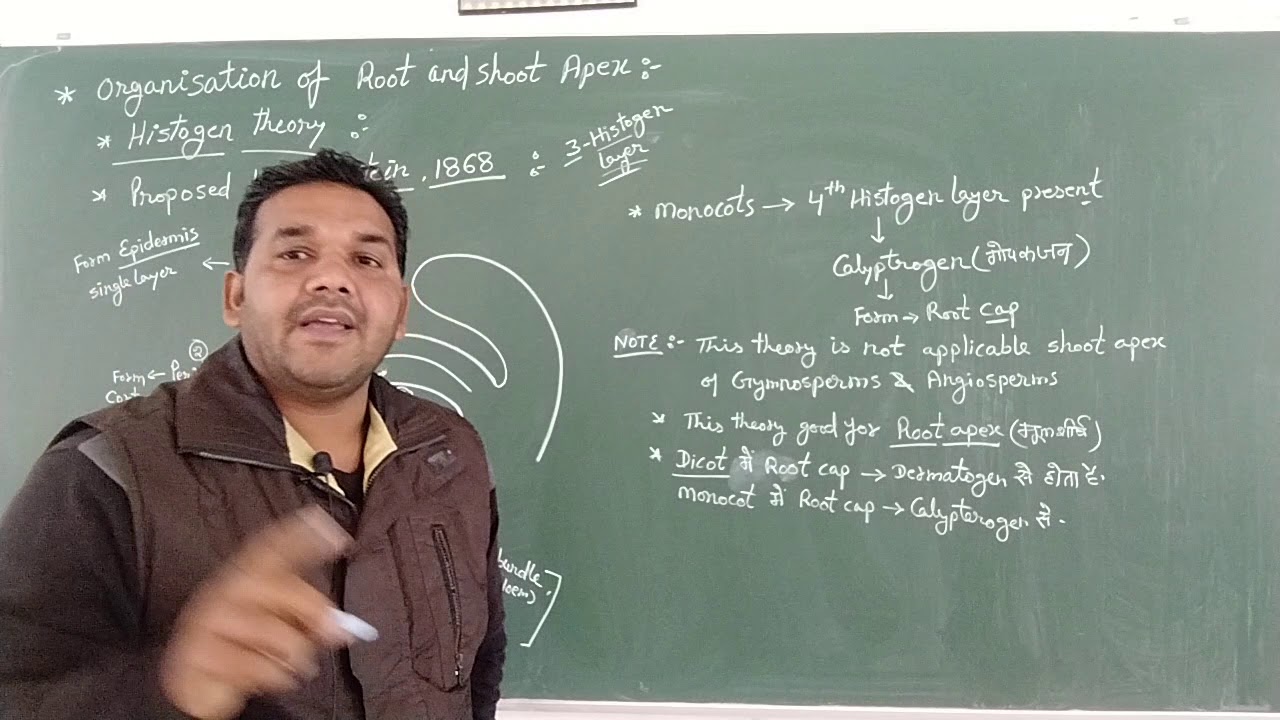 B.Sc.2(Botany) Histogen theory
