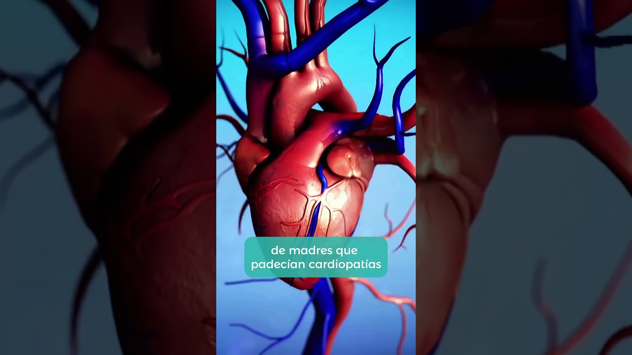 Microquimerismo fetal: c&eacute;lulas madre del beb&eacute; en el cuerpo de mam&aacute;