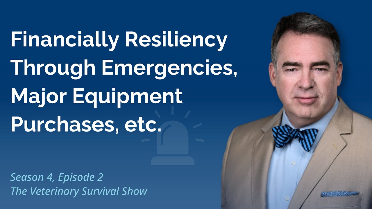 How Veterinary Practices Can Stay Financially Resilient Through Emergencies, Equipment Purchases