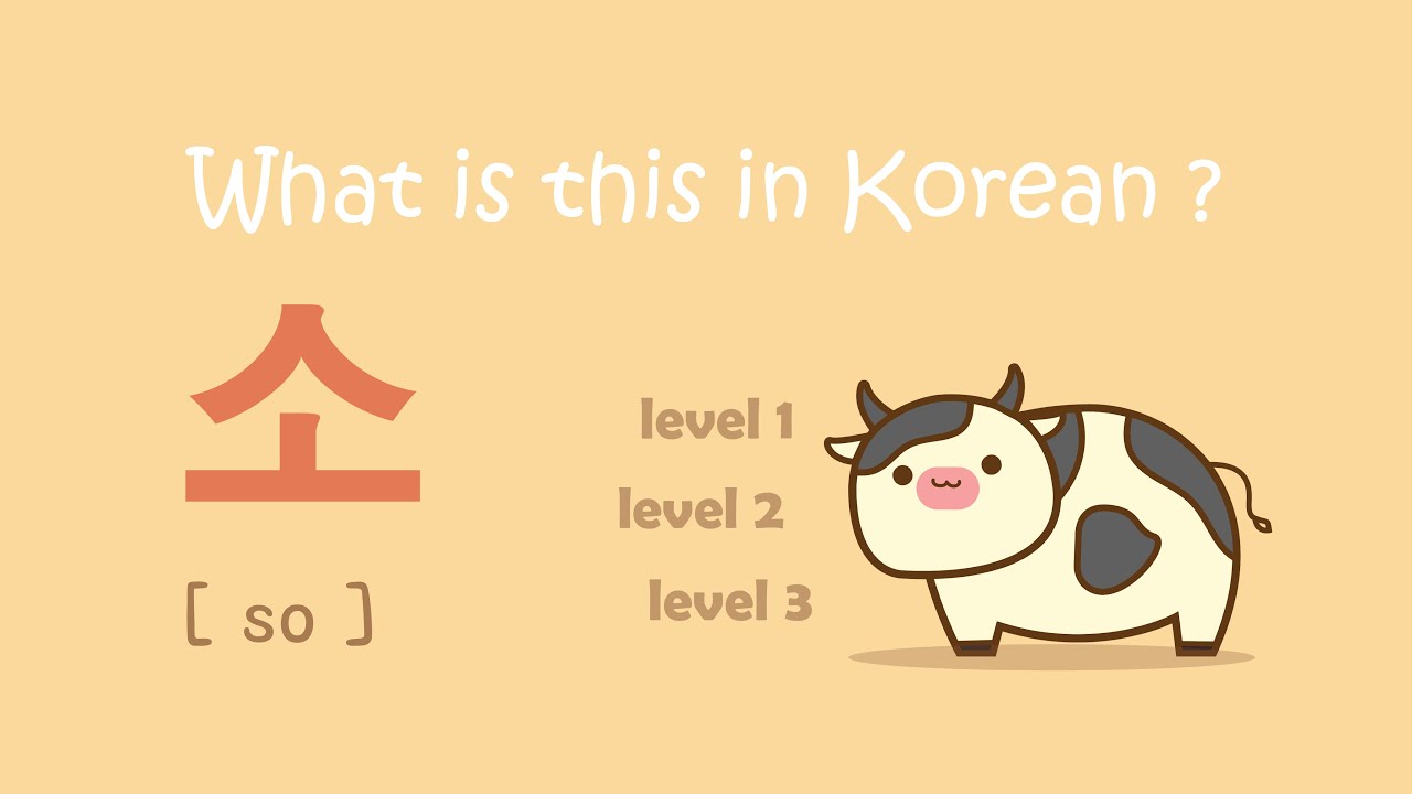 Korean vocabulary quiz for beginners ( with Korean pronunciation )