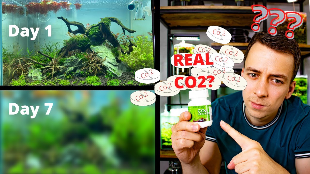 Я ПРОБОВАЛ ТАБЛЕТКИ CO2 В ТЕЧЕНИЕ 7 ДНЕЙ, И ВОТ ЧТО ПРОИЗОШЛО...