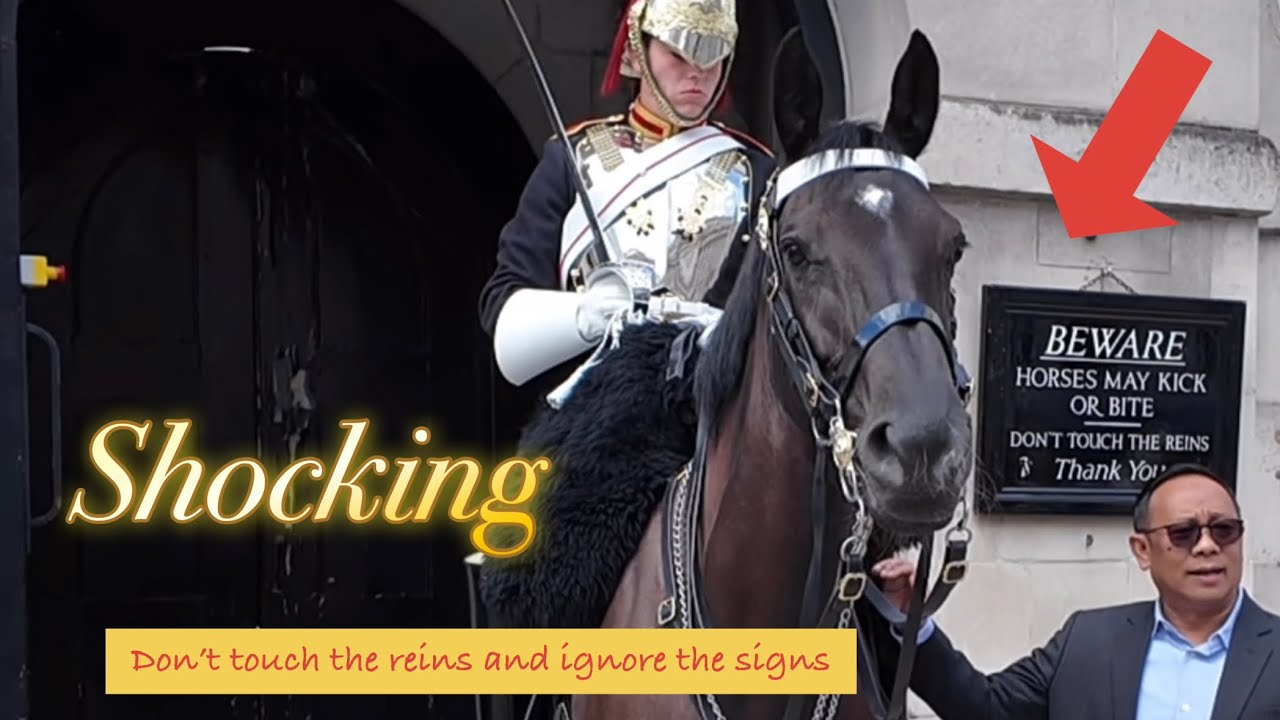 Disrespectful tourist Ignored the signs and tried to Get the horse reins, this happened!!!