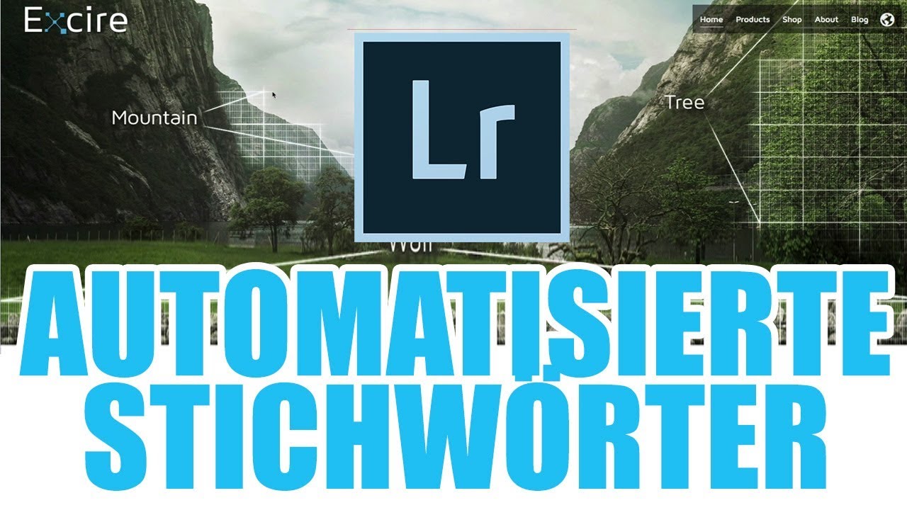 NIE MEHR manuell Stichwörter in Lightroom vergeben!!