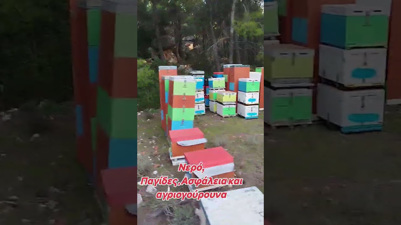 ΝΕΡΟ   ΑΣΦΑΛΕΙΑ ΑΓΡΙΟΓΟΥΡΟΥΝΑ