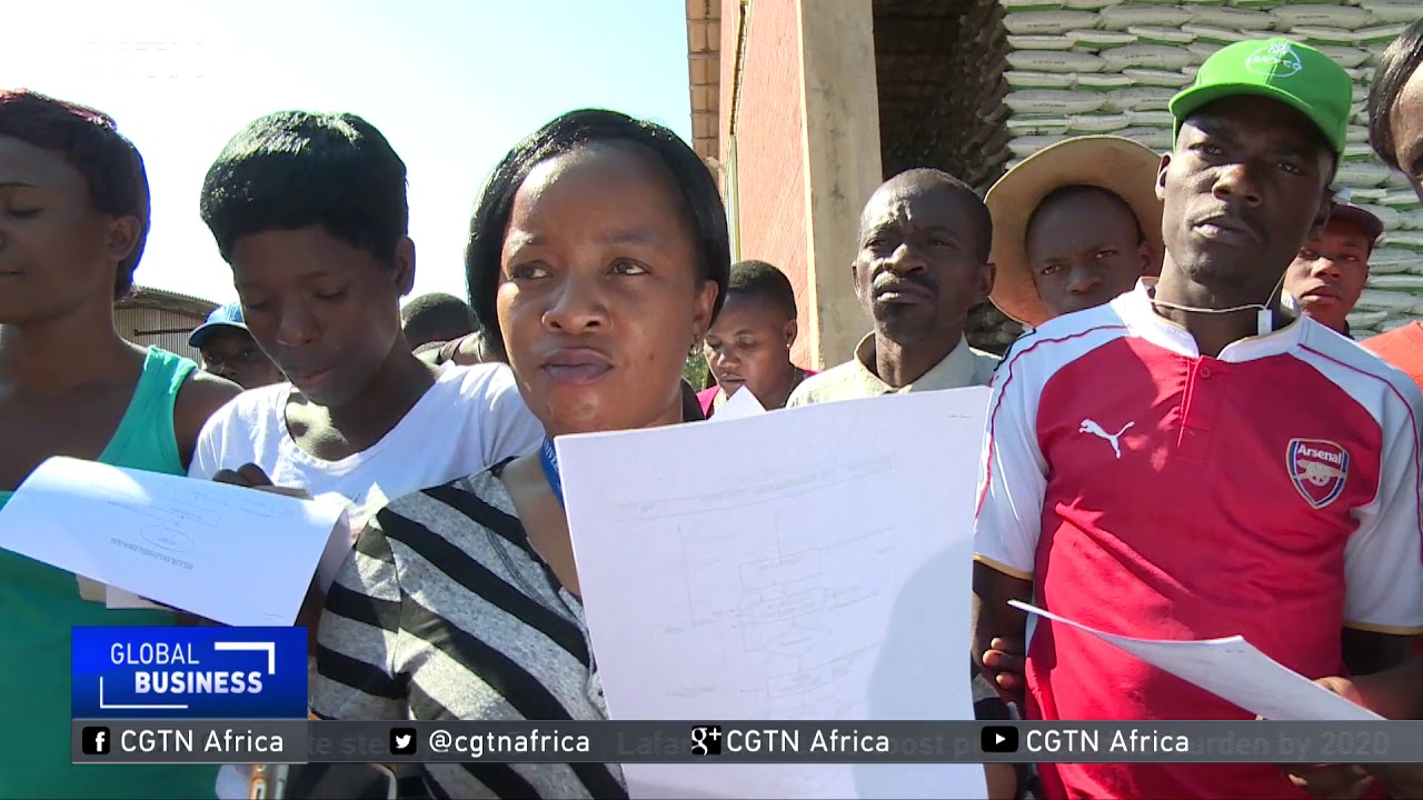 ZIM COTTON PRODUCTION NRB 2318G AM PKG 1 20180525165713 high