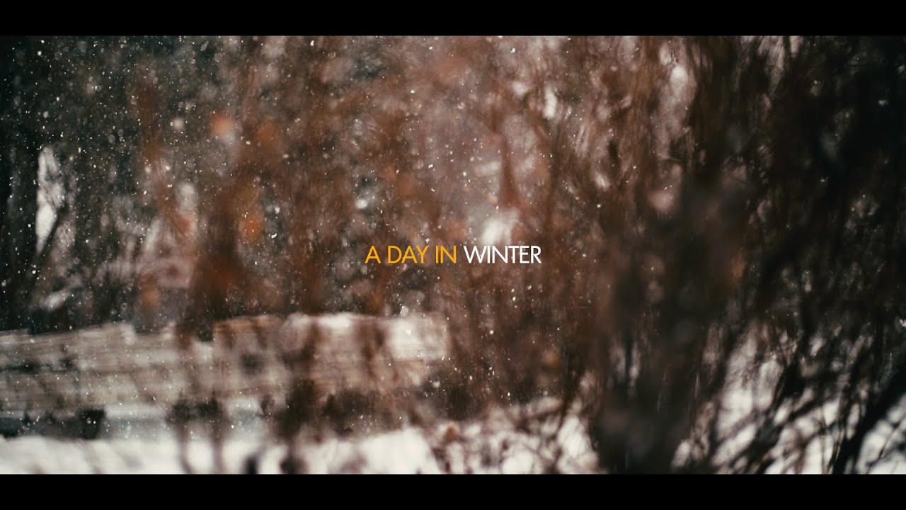 WINTER ｜Cinematic Snow B-Roll