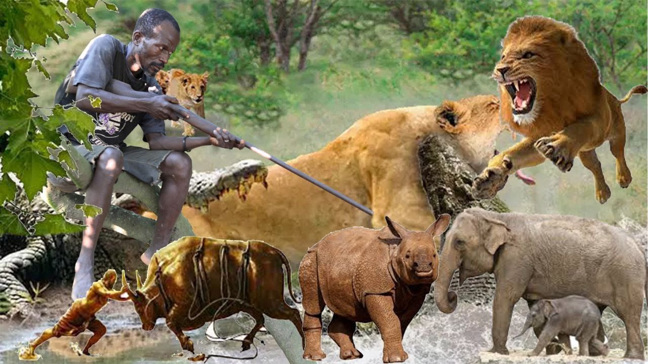 wooooow... Another wonderful story of a great Hunter
