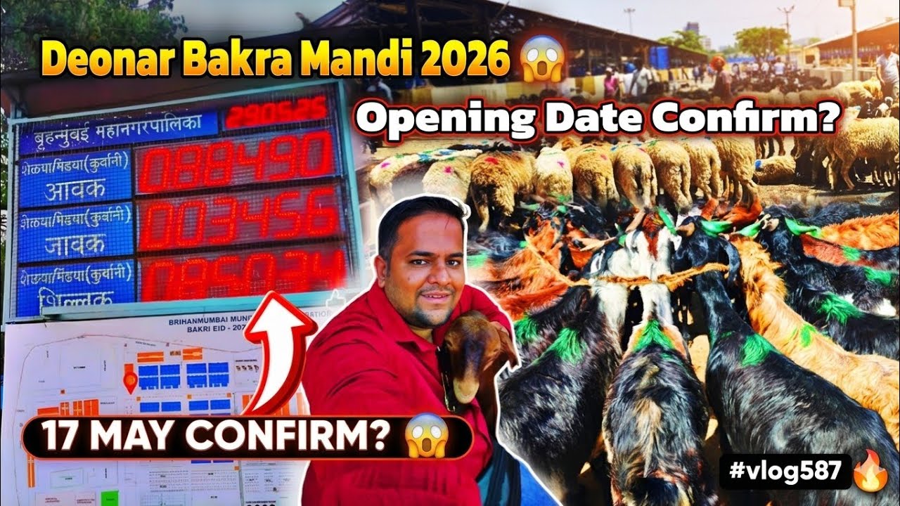 Deonar Bakra Mandi Latest Update 2026 🔥| 17 May Ko deonar Bakra Mandi Chalu Hogi? 🤔 Full Update 