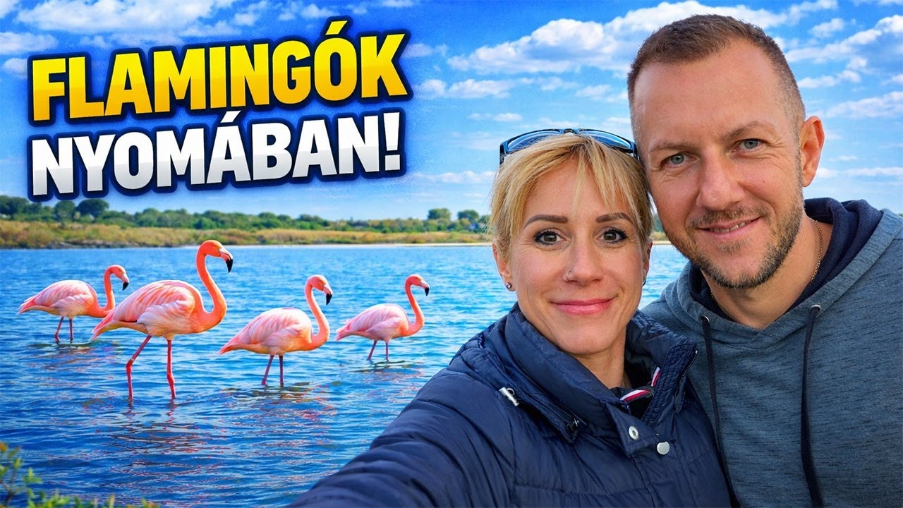 Flamingókat kerestünk a lárnakai sóstónál! 🦩🇨🇾