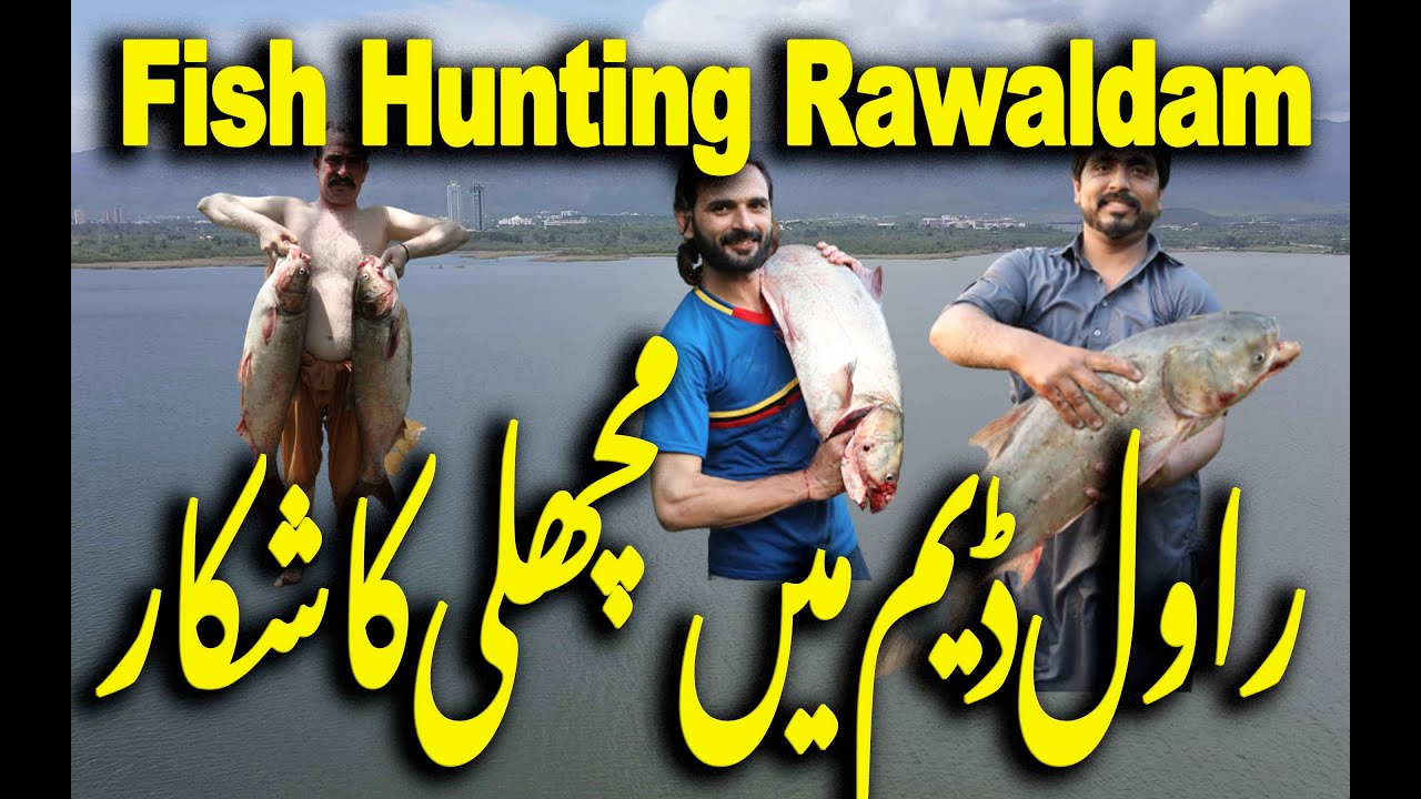 Fish hunting in Rawaldam | Rawal Dam Big Silver Fish 2021 |KBFilms Pakistan | Spillway Open Fishing