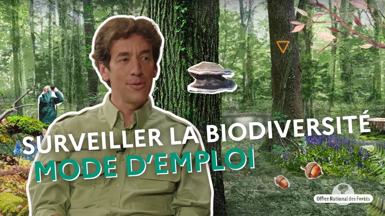 Voici comment l'ONF surveille la biodiversité 🐸 !