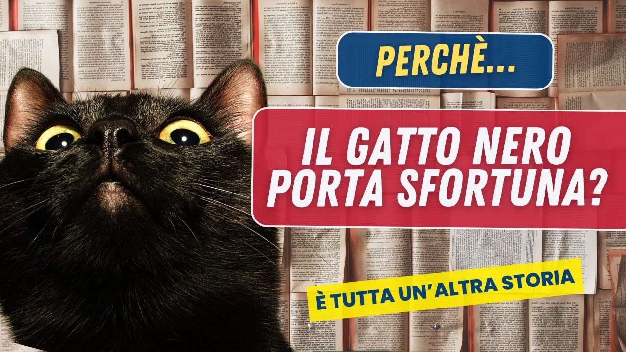 Dal Gatto Nero alla Bandiera: Le Curiosità sulla Storia dei Colori!