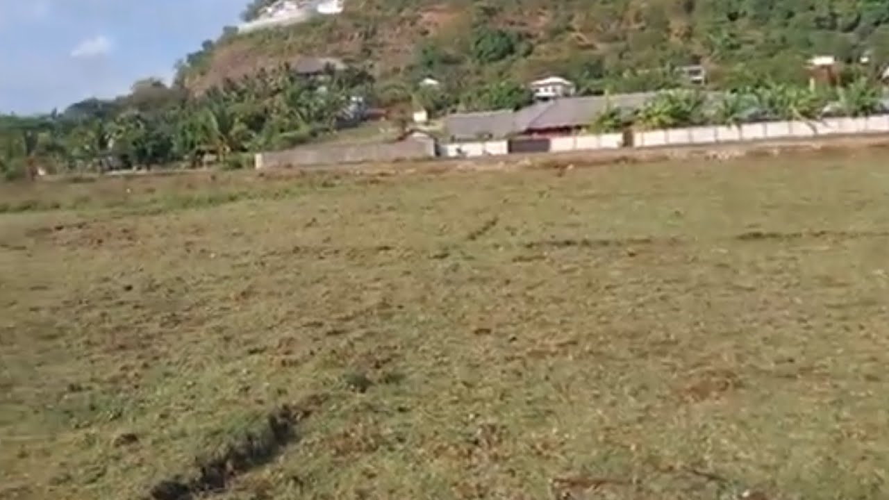land investment in Madagascar 🇲🇬