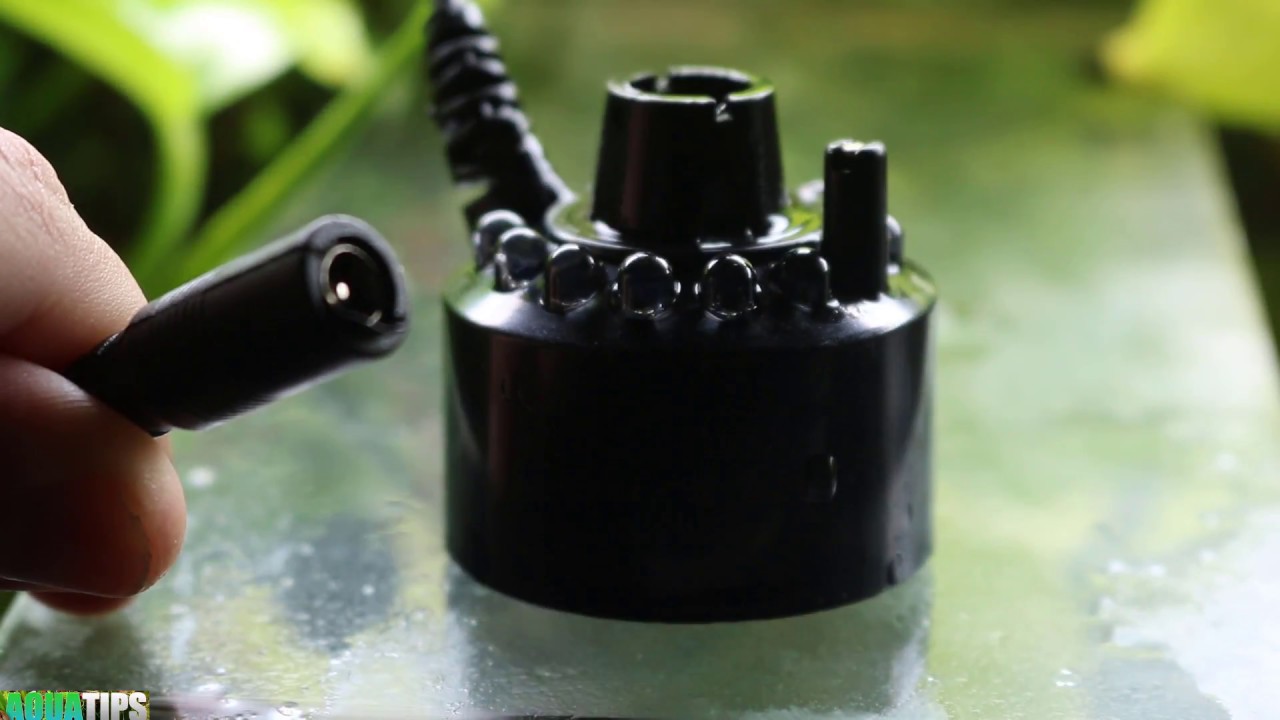 Nebulizador, Humidificador Ultrasónico, Fabricador de Niebla para El Árbol de la Vida || AquaTips