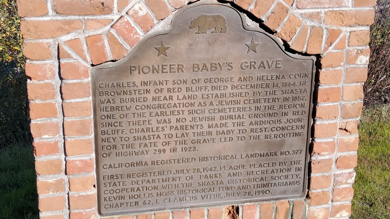 Pioneer Baby's Grave December 14, 1864 ◇ Redding ◇ California Historical Landmark No. 377 🪦⚰️