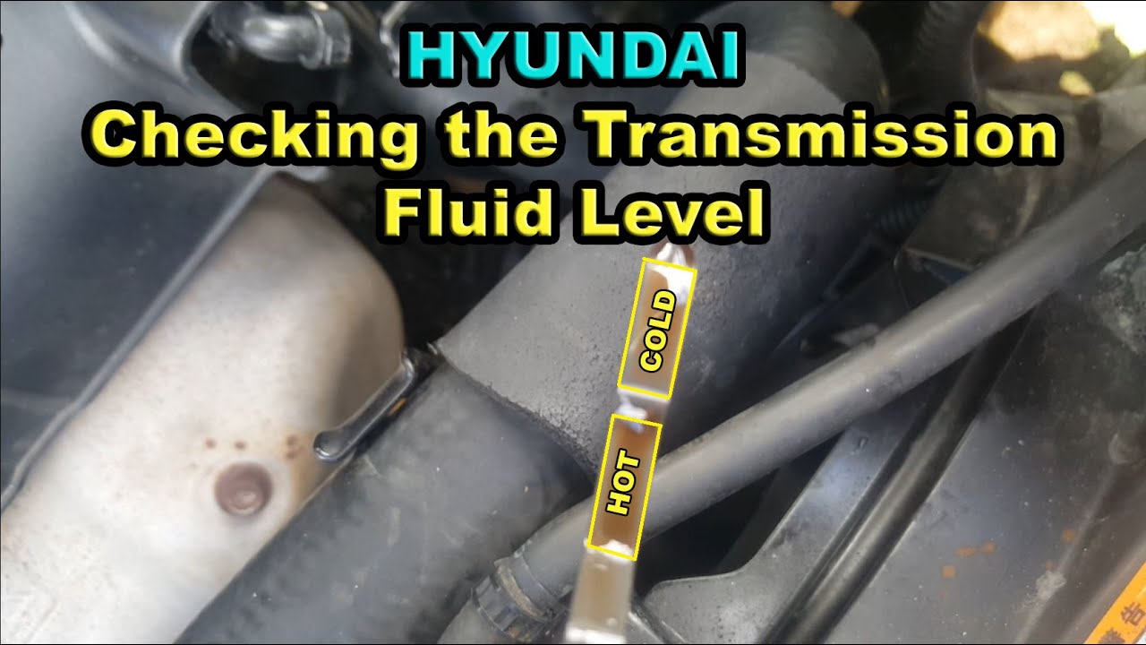 Hyundai: проверка уровня трансмиссионной жидкости