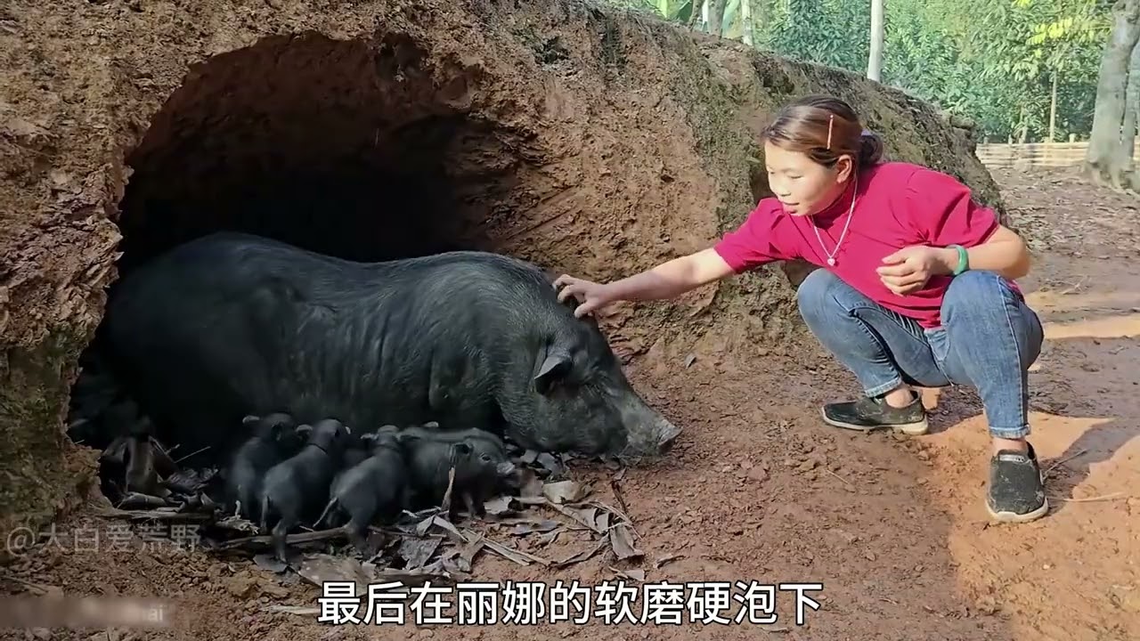 第67集|-丽娜独居丛林打造农庄，建造洞穴式猪窝.收获芹菜售卖#记录真实生活 #野外生活纪录片 #建造田园生活