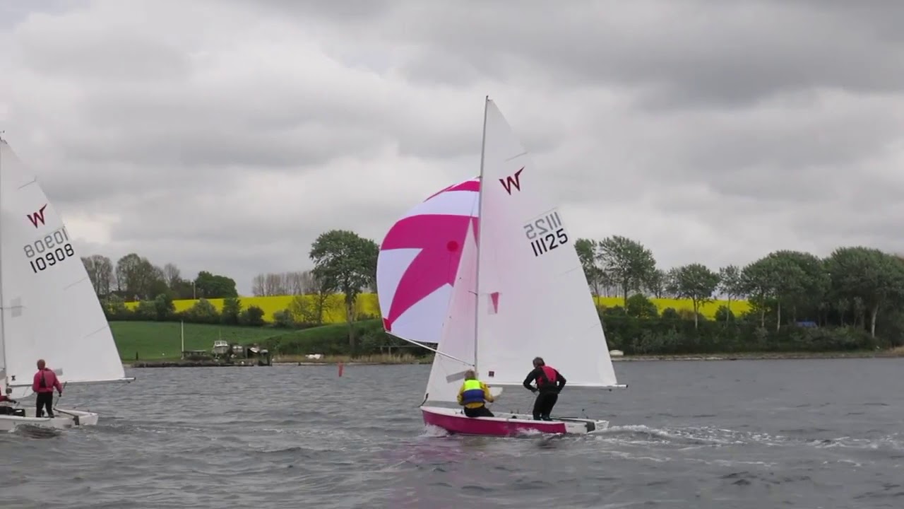 Wayfarer Regatta