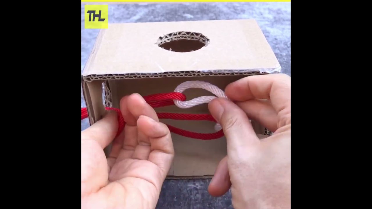 Don&rsquo;t Miss These Crazy Magic Tricks 😲 | Hidden Secrets Revealed #shorts #magictricks