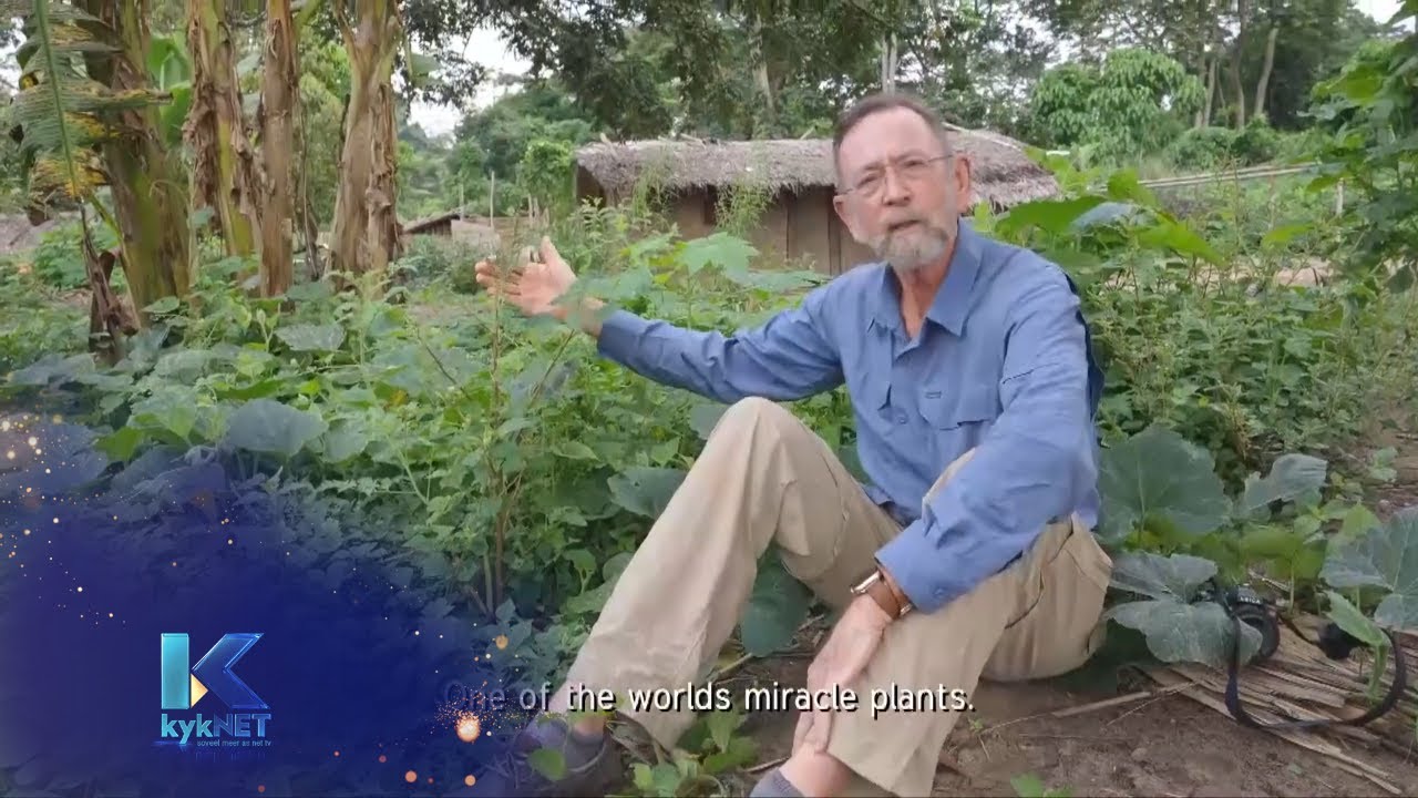 Amaranthus plante – Groen: Kongo Reënwoud | S1 | Ep 6 | kykNET