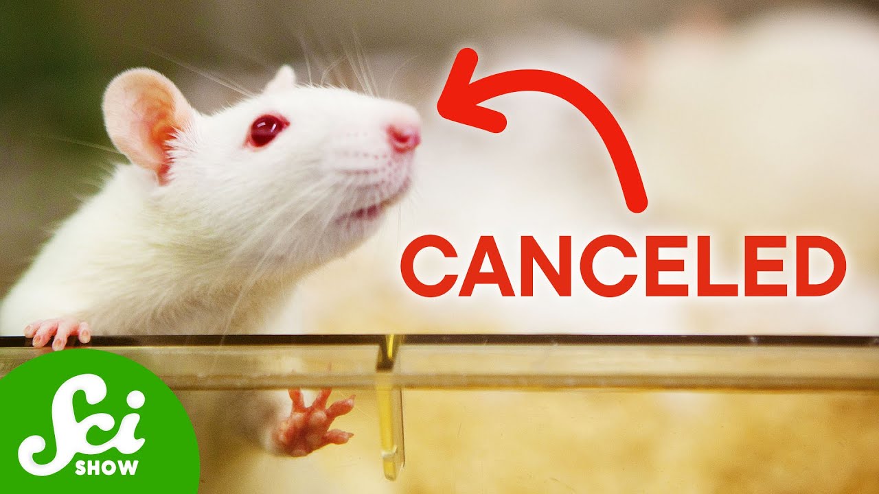 The End of Lab Rats