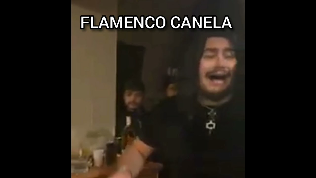 Canelita Y Marino Tirado Por Bulerias 2021