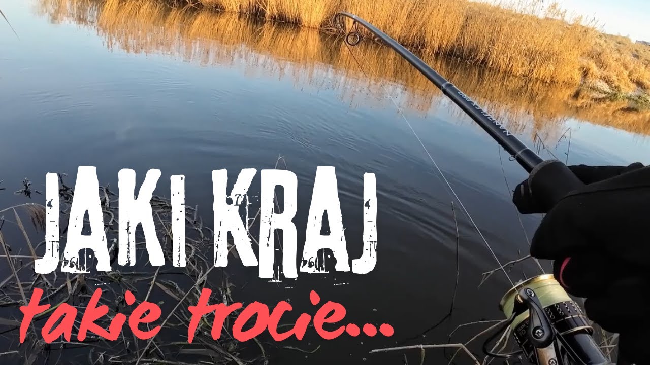 Jaki kraj, takie trocie... Drugi dzień sezonu trociowego.