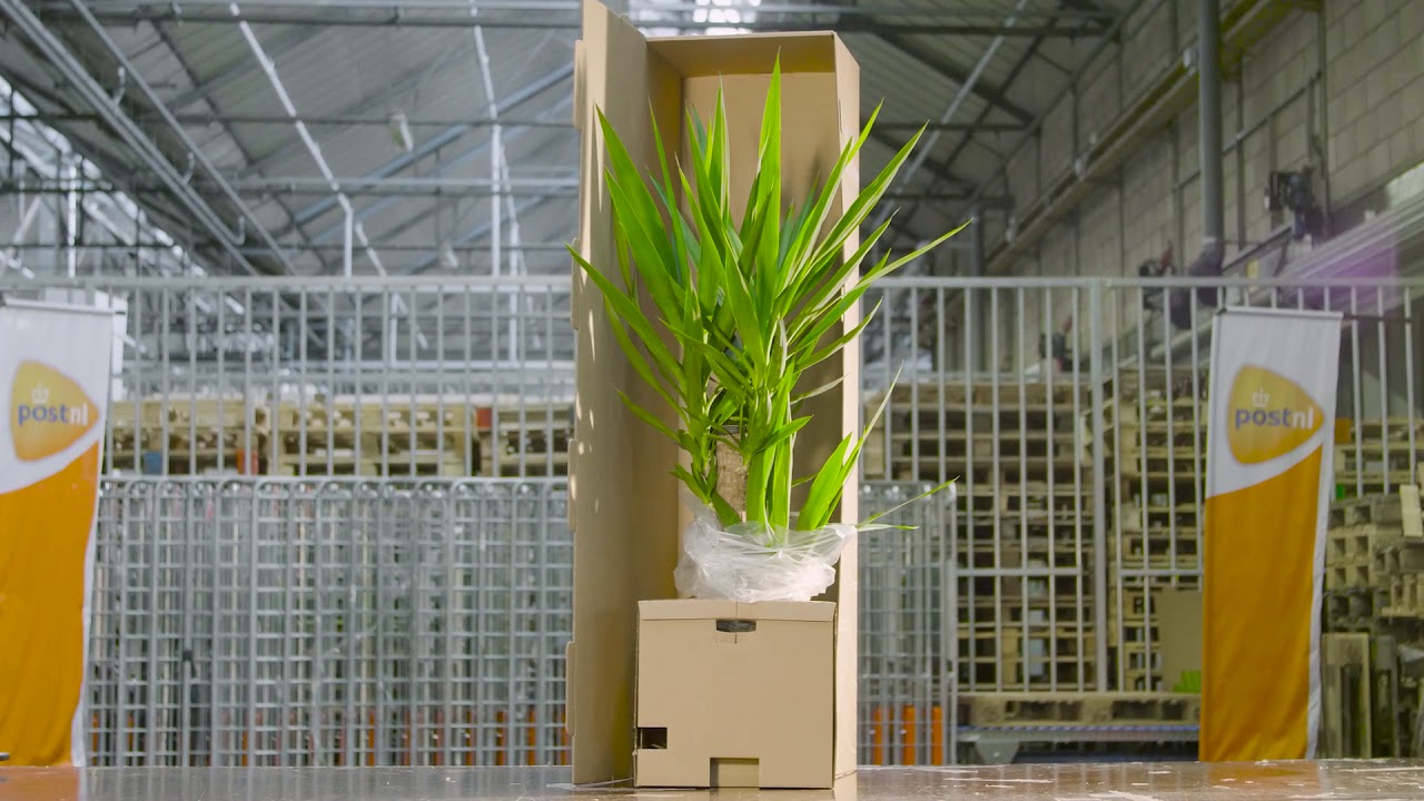 Plantvriendelijke verpakking & verzending bij Hellogreen