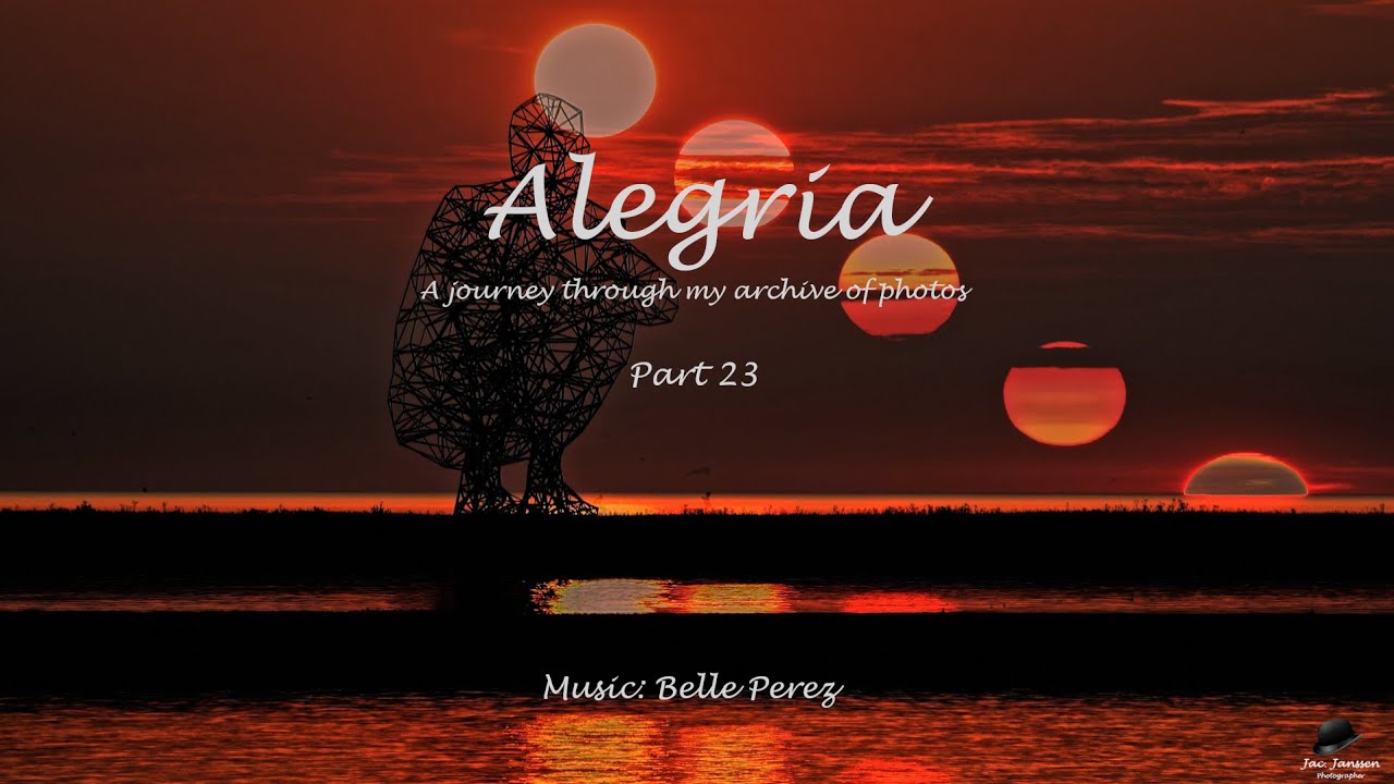 Alegria part 23