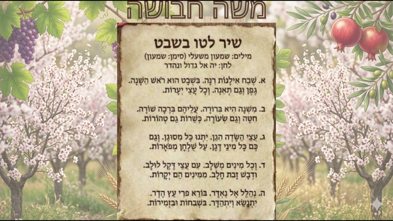 שיר לטו בשבט. משה חבושה