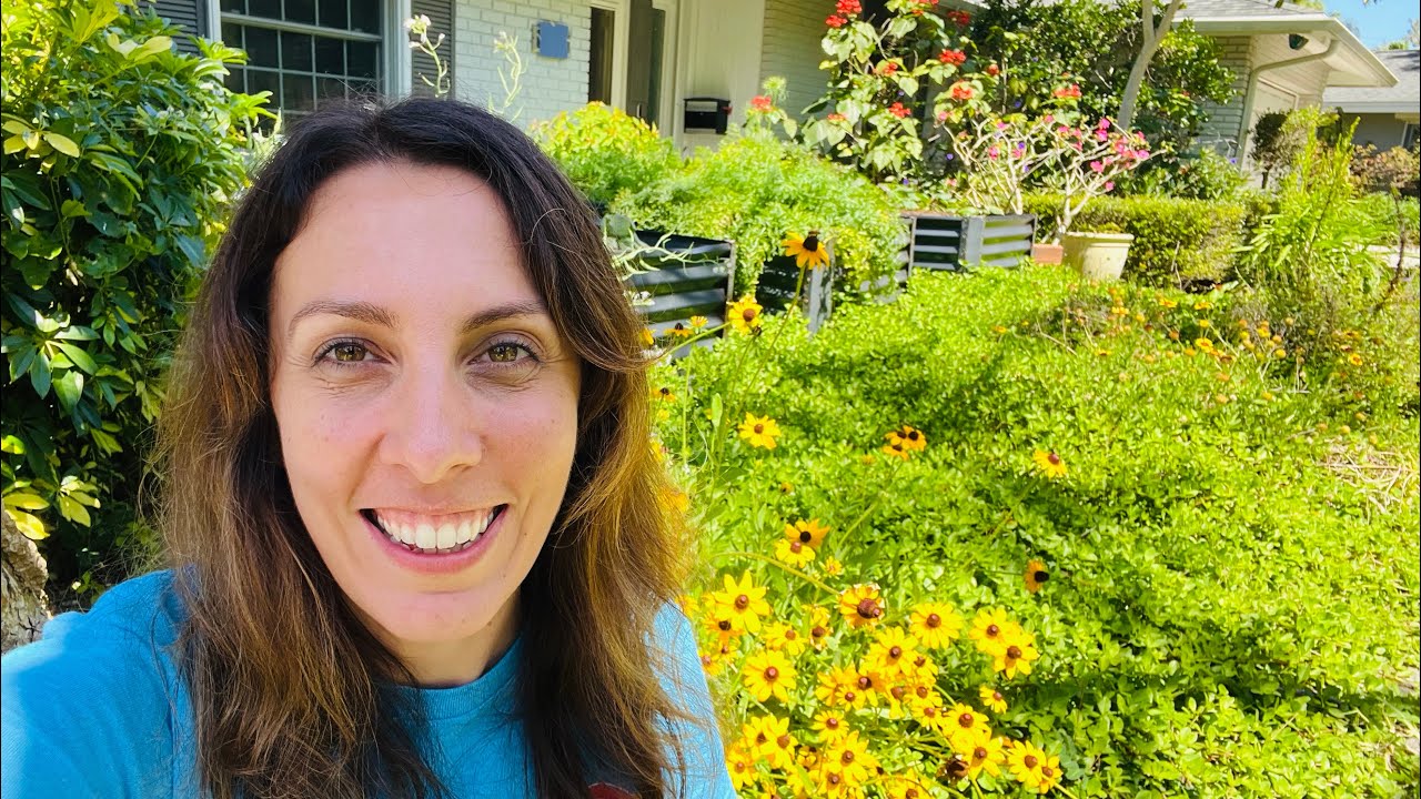 5 Florida Native Wildflowers that Can Keep Your Garden Blooming Year Round!