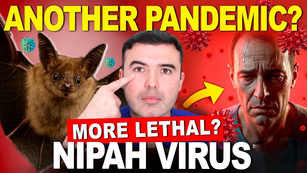 ⚠️NEW GLOBAL HEALTH EMERGENCY! - All About the NIPAH VIRUS🦠